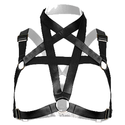 هارنس-گارتر